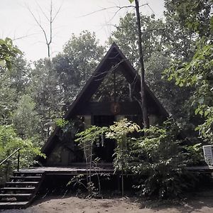 La Selva Resort, Pench National Park